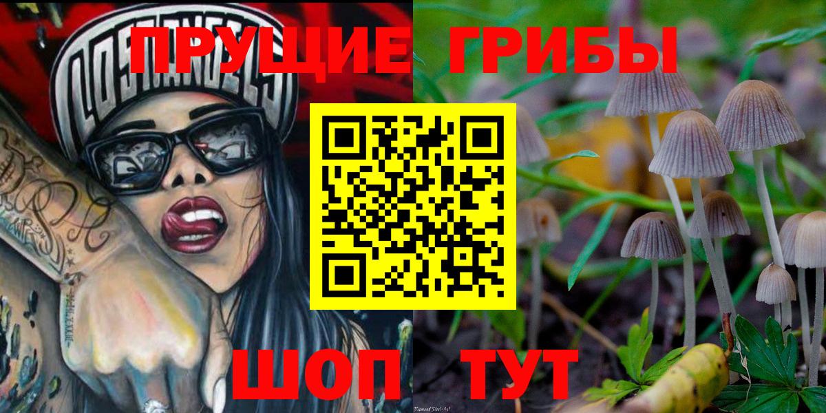 Белово  Псилоцибиновые грибы прущие грибы  Вход с VPN 