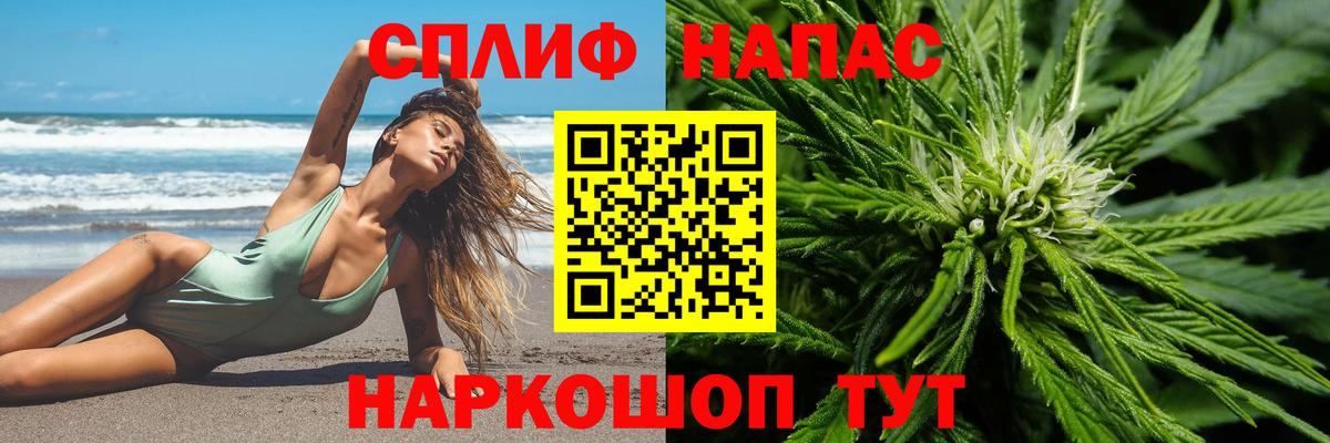Канабис планчик Белово
